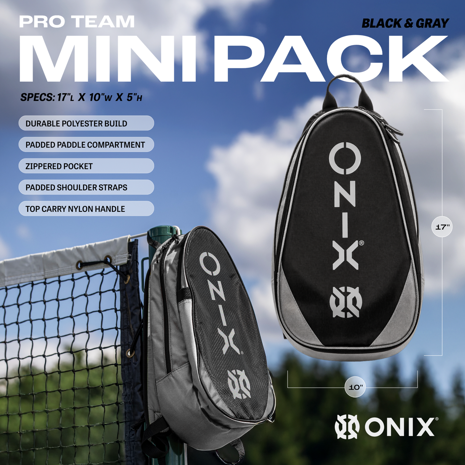 Pro Team Mini Pack | Onix Pickleball