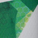 ONIX Graphite Z5 Pickleball Racquet Mod Series - Green