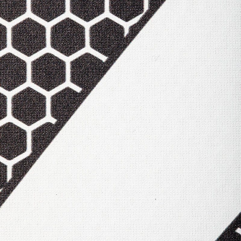 ONIX Graphite Z5 - White Pickleball Rackets 